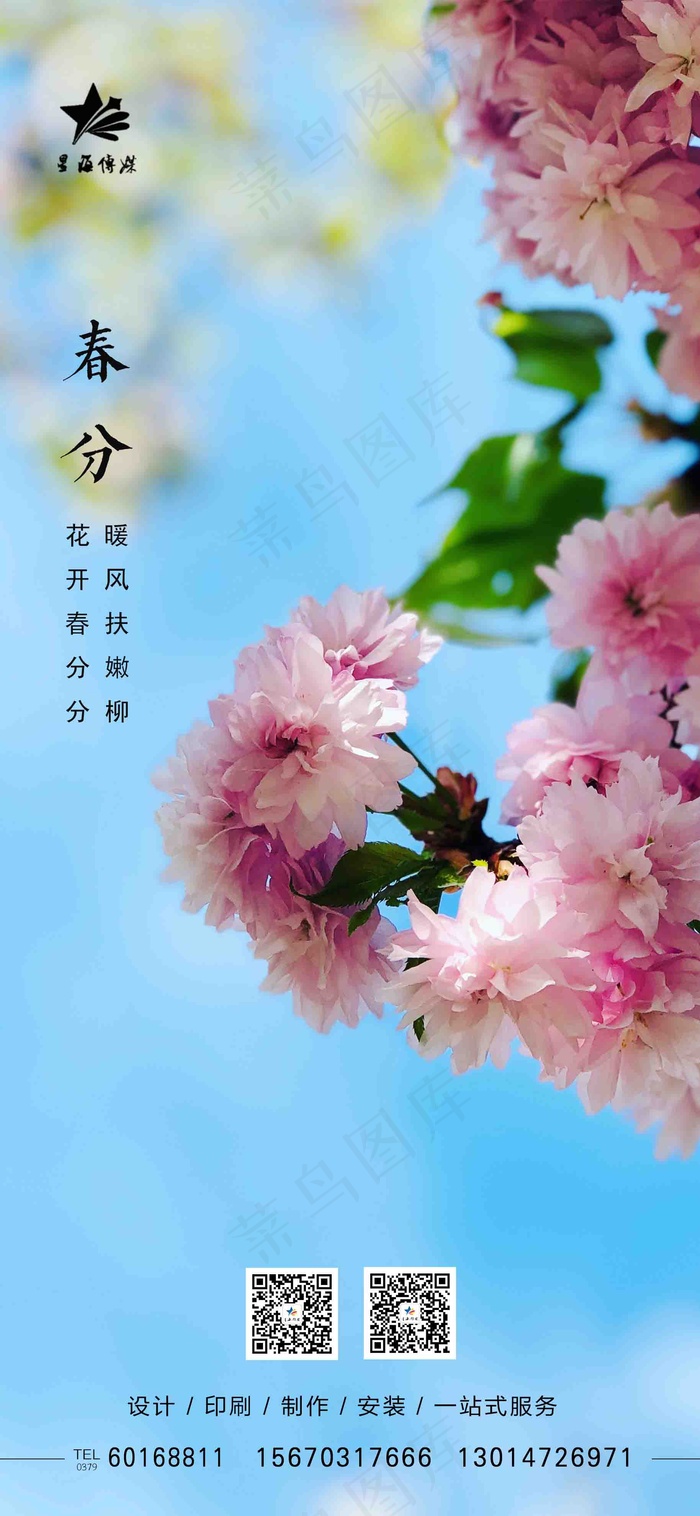 2021年春分    节气 朋友圈  24节气(1828x3958)psd模版下载