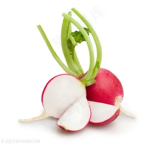 胭脂萝卜高清图片