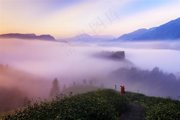 瓦屋山茶山日出田园风光