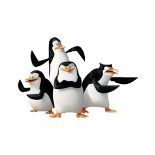 马达加斯加企鹅 PNG免抠