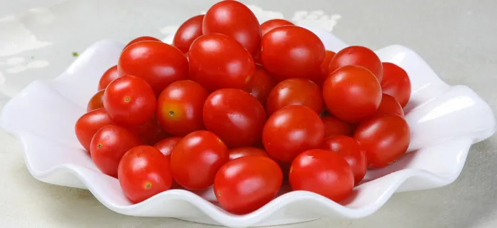 32 樱桃柿子 桥东大酒店