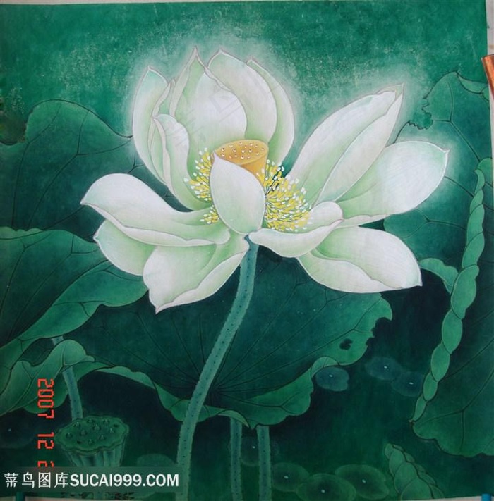 工笔画莲花装饰画