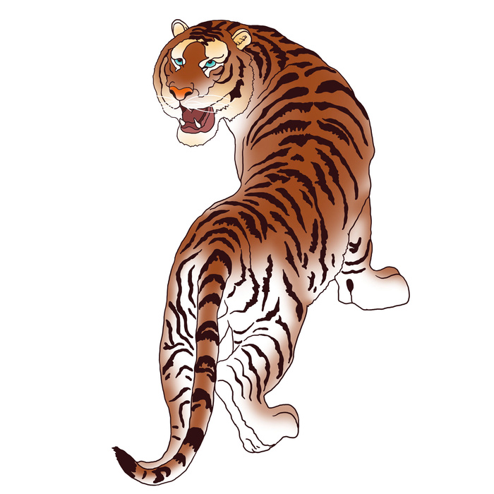 手绘国潮虎年卡通白虎老虎形象插画装饰元素PSD设计素材png免抠图psd模版下载