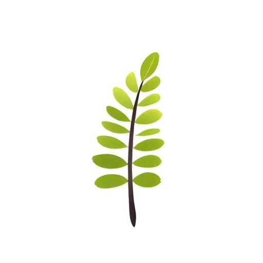 叶子树叶免抠(2048x2048)