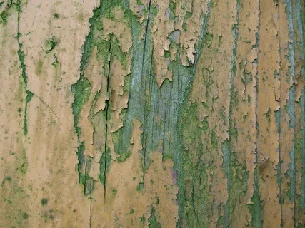 高清污渍贴图树皮纹理贴图 高清污渍贴图树皮纹理贴图