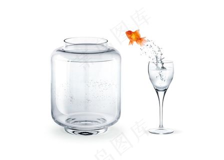 鱼缸的鱼高清素材