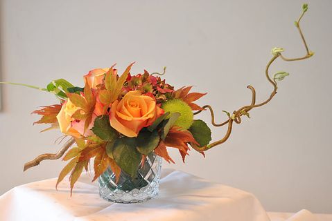 花朵 花束 植物 素材 (236)