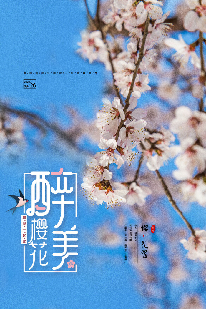 樱花季樱花节赏樱春天春季郊游踏青春游旅游海报PSD素材模板设计