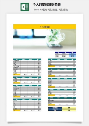 个人月度预算财务表excel模板预览图