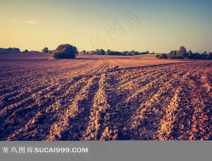 黄昏收割耕作农作田土壤大地