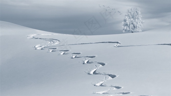 蜿蜒雪地冰川自然风光图片素材