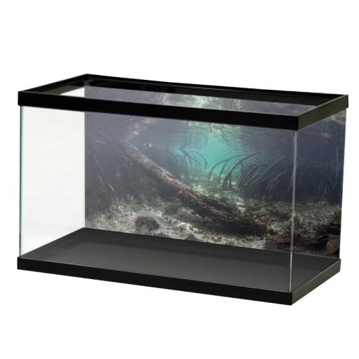 水族馆 PNG免抠