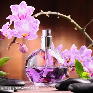 淘宝店香水摄影素材 淘宝店香水摄影素材