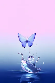 水滴蝴蝶创新渐变背景