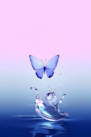 水滴蝴蝶创新渐变背景