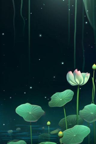国风夜晚荷花荷叶大气背景