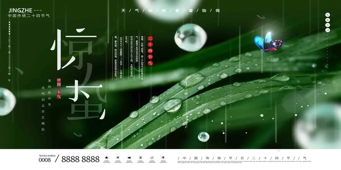 草绿高端二十四节气惊蛰展板psd模版下载