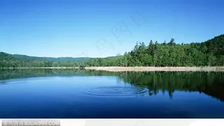 宽屏壁纸-风景湖边树林