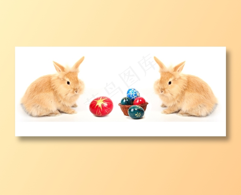 可爱小兔子图片下载