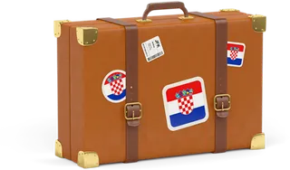 行李箱羊皮素材旅游