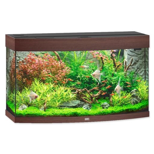 水族馆 PNG免抠