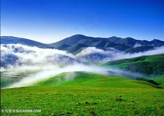 曲靖市会泽县大海草山