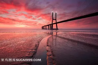 城市吊桥风光风景图片