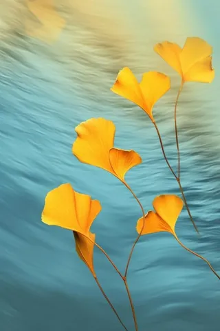 简约大气渐变落叶黄色秋叶背景