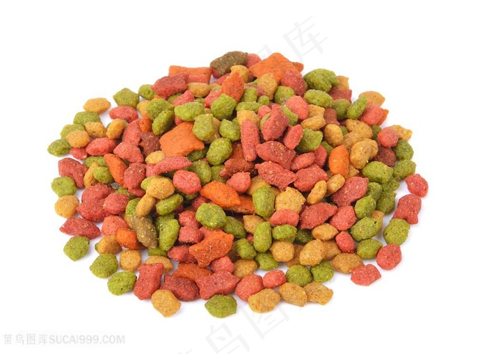 创意猫粮写真高清图片