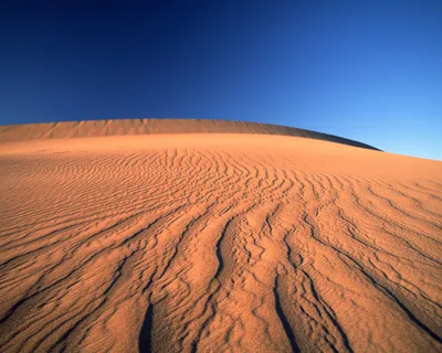沙漠之七  沙漠之七