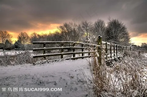 冬天雪景高清图片