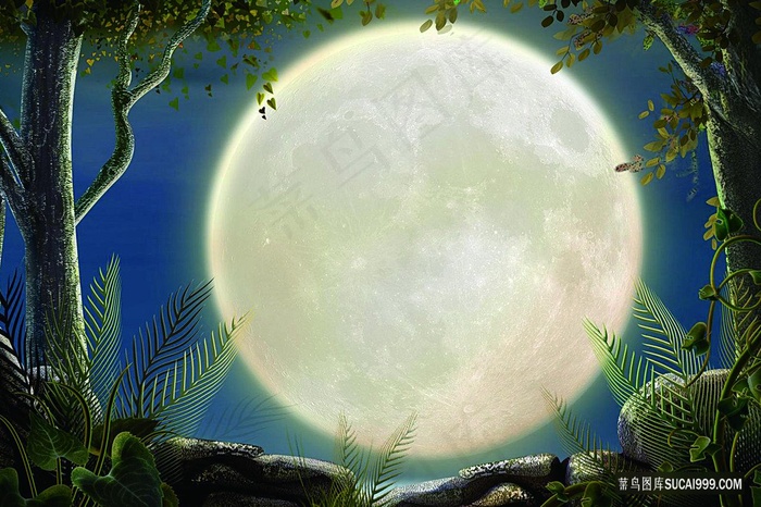 明月树林美景风景画