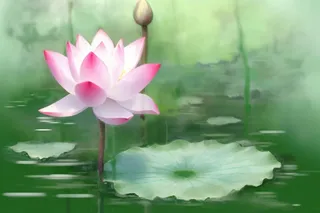 国风荷花水墨节气背景