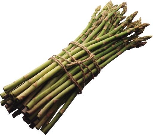 芦笋 PNG免抠