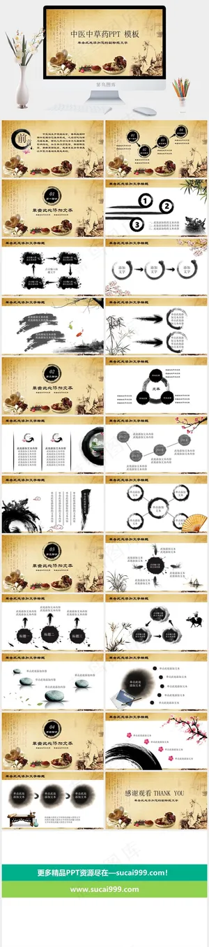 中药中医治病PPT模板ppt模版
