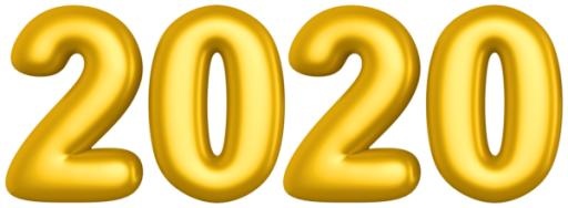 2020 年 PNG免抠(600x221)