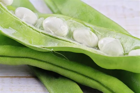 露出果实的绿色豌豆高清摄影图片 露出果实的绿色豌豆高清摄影图片