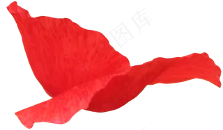 花瓣花朵免扣图片  