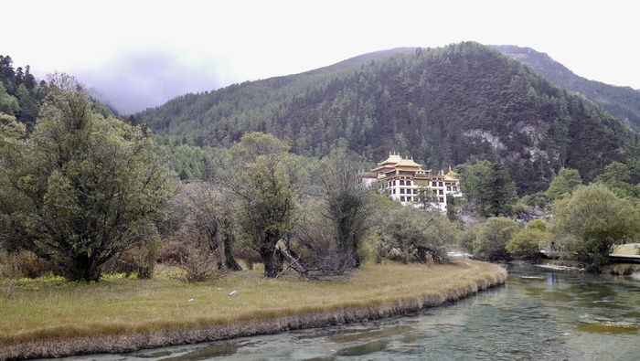 亚丁洛绒牛场草地雪山融水