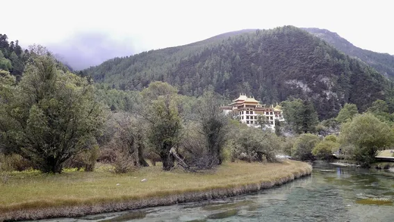 亚丁洛绒牛场草地雪山融水