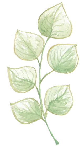 唯美森系手绘水彩花朵 免抠