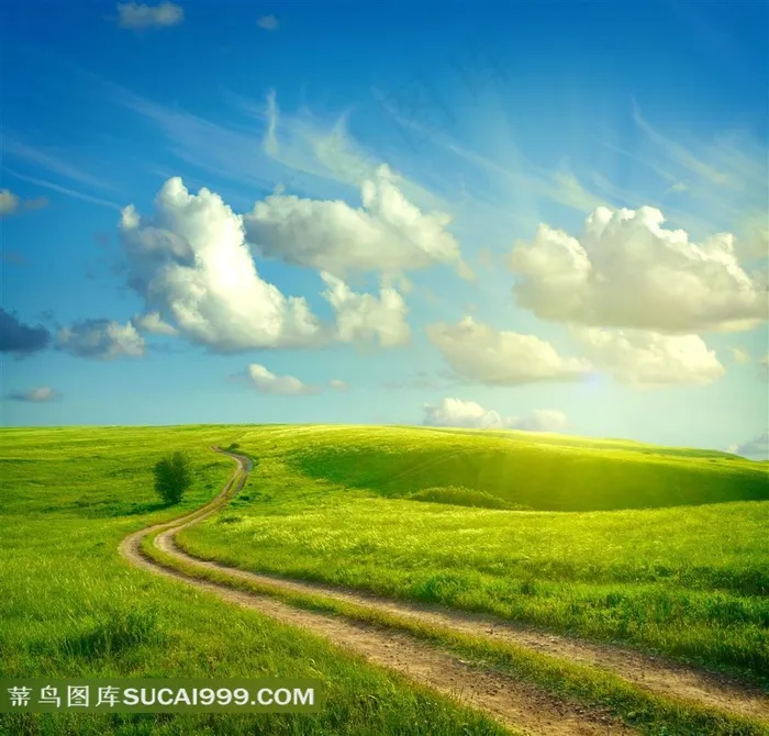 自然风景名胜 郊外田野小路