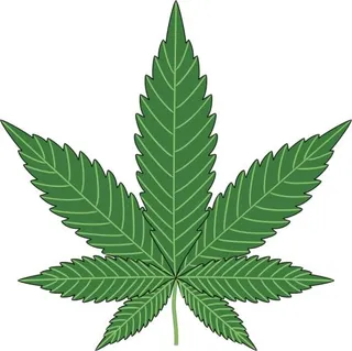 大麻PNG免抠