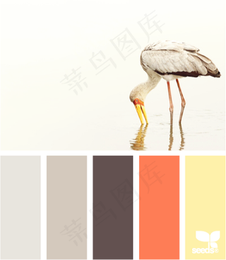 动物配色色卡色彩搭配