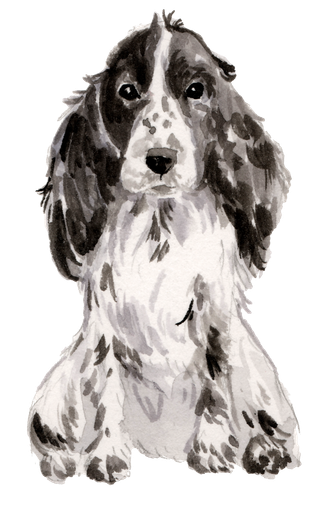 狗狗水彩画插画免扣素材可爱宠物狗