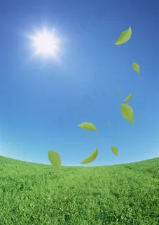 草地和树叶素材图片