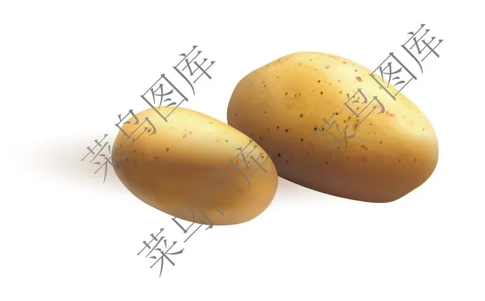 马铃薯矢量图