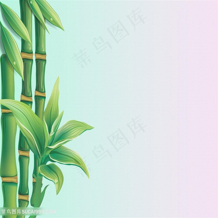 精美竹子背景图片