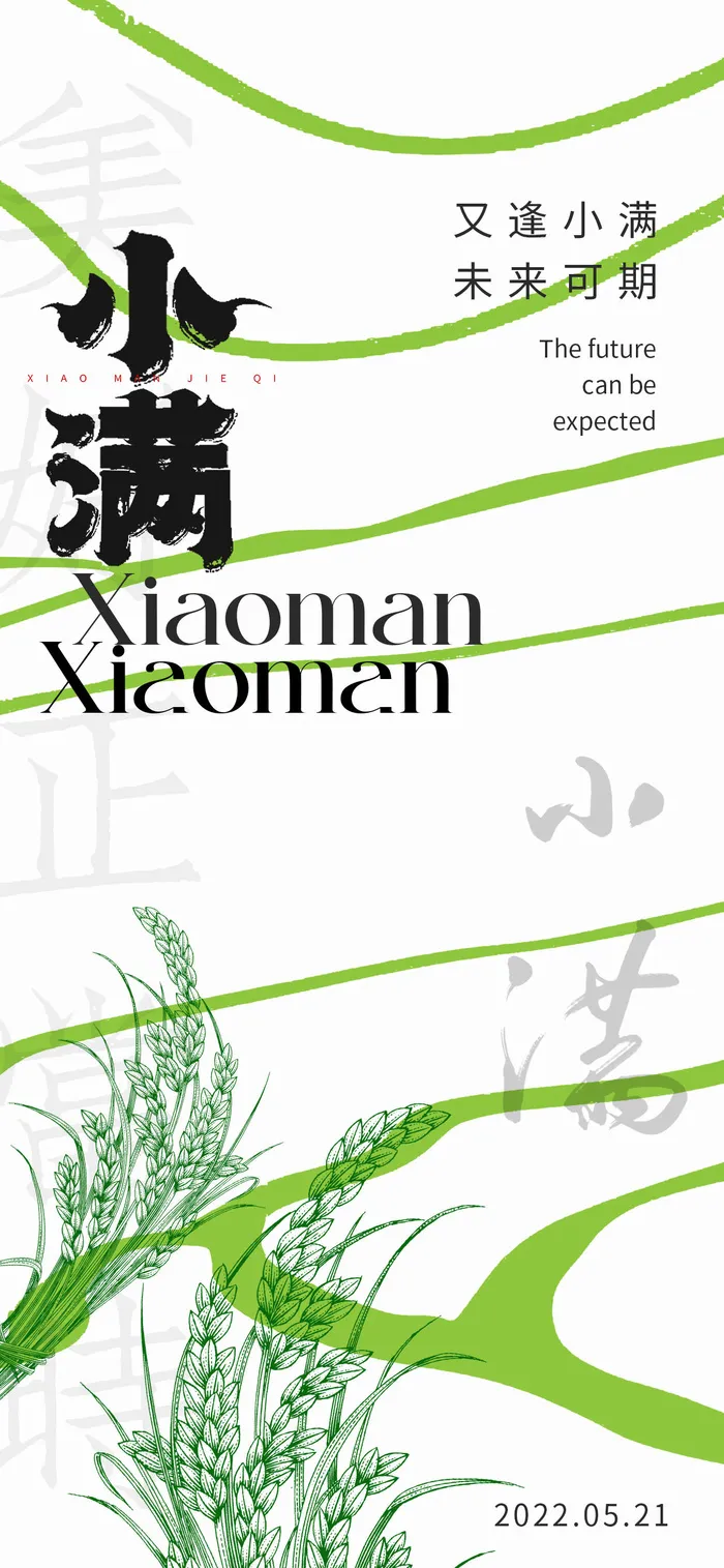 小清新传统24节气小满海报