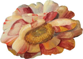 复古油画质感宫廷花卉植物花朵鲜花拼贴图案PNG免抠图片设计素材